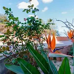 Casa Himalaya Estate In Sardegna Vicino Al Mare E Aeroporto Wi-fi & Parcheggio Apartamento *