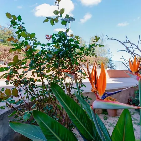 Casa Himalaya Estate In Sardegna Vicino Al Mare E Aeroporto Wi-fi & Parcheggio Apartment *